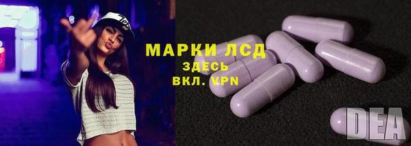 стаф Протвино