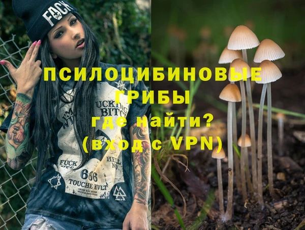 стаф Протвино