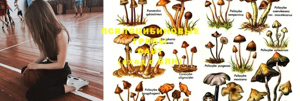 твердый Пролетарск