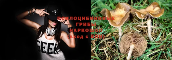 твердый Пролетарск