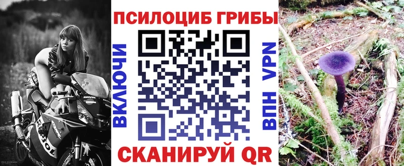 Галлюциногенные грибы прущие грибы Грязовец